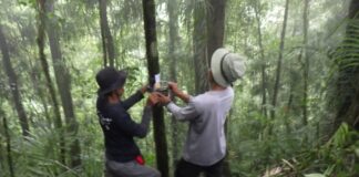 Aktivis penyelamatan satwa dilindungi memasang kamera trap di lereng Raung, Banyuwangi untuk melacak macan tutul/ist