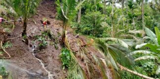 Petugas dibantu warga melakukan pencarian warga yang diduga tertimbun longsor di Kelurahan Gombengsari, Banyuwangi, Selasa (14/2/2023) siang/ist.