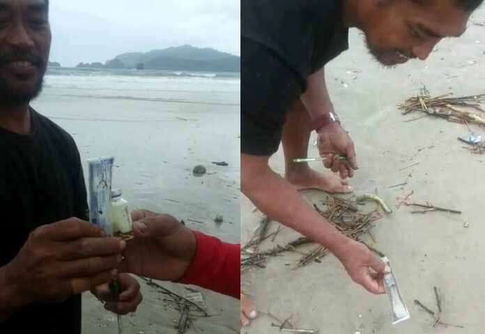 Limbah medis ditemukan berserakan di Pantai Pulau Merah Banyuwangi.