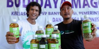 Pemuda di Banyuwangi mengolah sampah sungai menjadi pupuk organik.