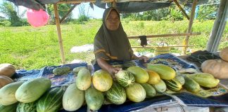 Pedagang krai dadakan menjamur di kota Banyuwangi selama puasa, Sabtu (25/3/2023) siang.