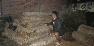 Petugas menyita tumpukan kayu jati curian dari kawasan Perhutani Banyuwangi Selatan, Kecamatan Purwoharjo, Banyuwangi.