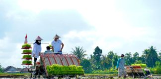 Program Jagoan Tani menjadi unggulan Banyuwangi mengajak kaum muda terjun ke dunia pertanian.
