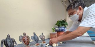 Aneka replika penyu dengan ukuran sesuai aslinya yang dibuat pegiat perlindungan penyu di Banyuwangi.