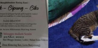 Undangan sunatan kucing yang heboh di Desa Kluncing, Kecamatan Licin, Banyuwangi, Jumat (26/5/2023). (foto/ist)