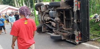 Warga mengevakuasi mobil pikap yang terguling setelah menabrak pohon di Desa Tamansari, Kecamatan Licin, Banyuwangi, Sabtu (27/5/2023). (foto/ist)
