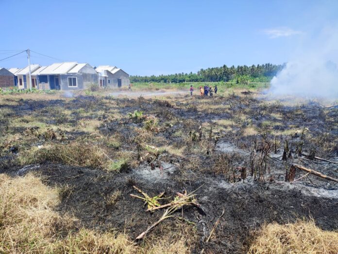 WhatsApp Image 2023-09-07 at 13.48.44 Kebakaran melanda lahan kosong dekat perumahan di Banyuwangi yang meresahkan warga, Kamis (7/9/2023). (foto/udi)