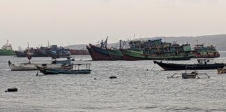 Kapal ikan sandar di perairan Tanjungwangi, Banyuwangi. (foto/ist)
