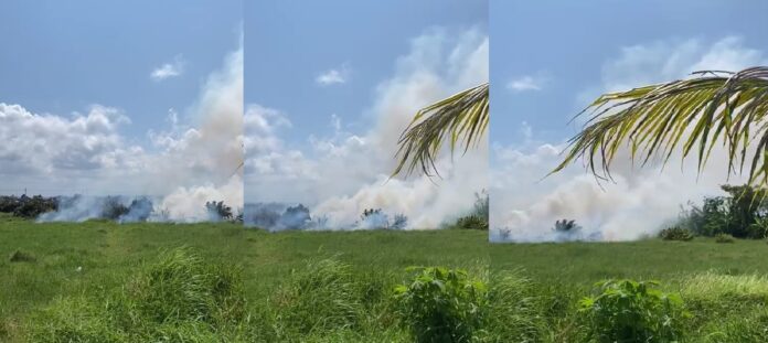 kebakaran lahan Kebakaran lahan melanda sejumlah titik di Banyuwangi dalam seminggu terakhir.