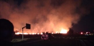 Lahan di Bandara Banyuwangi terbakar, Minggu (29/10/2023). (foto/ist)