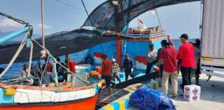 Kapal ikan kembali sandar di Pelabuhan Perikanan Masami, Banyuwangi, Selasa (3/10/2023). (foto/udi)