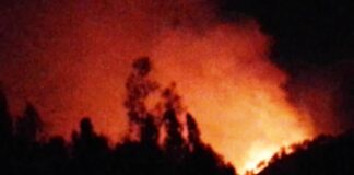 Kebakaran melanda kawasan Gunung Ijen, Banyuwangi. (foto/ist)