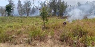 Petugas gabungan memadamkan sisa api di puncak Ijen, Banyuwangi, Rabu (11/20/2023). (foto/ist)