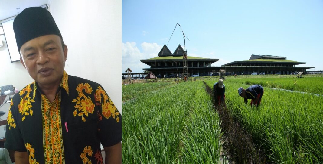 lahan abadi Ketua Pansus Raperda LP2B, Suyatno dan lahan abadi di sekitar Bandara Banyuwangi. (Foto/ist)