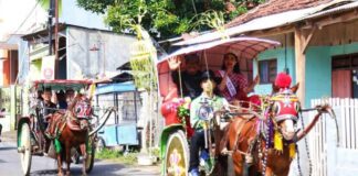Warga Boyolangu, Banyuwangi menggelar tradisi puter kayun, Jumat (19/4/2024). (Foto/Humas Pemkab Banyuwangi)