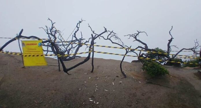 WhatsApp Image 2024-04-23 at 08.47.02 Lokasi spot foto di Kawah Ijen, Banyuwangi ditutup pasca-tewasnya turis asal Cina. (Foto/Dok. TWA Ijen)