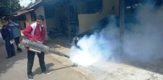 Petugas melakukan pengasapan mengantisipasi penyebaran nyamuk DB di Banyuwangi, belum lama ini. (Foto/udi)