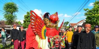 Atraksi Barong Ider Bumi di Desa Kemiren, Banyuwangi yang menjadi budaya khas suku Osing. (Foto/dok)