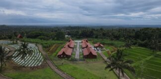 Agro Wisata Tamansuruh, Desa Tamansuruh, Kecamatan Glagah, Banyuwangi yang menawarkan wisata agro dan keindahan Selat Bali. (Foto/Humas Pemkab Banyuwangi)