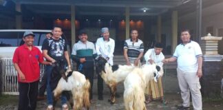 Perwakilan warga Desa Pakel, Kecamatan Licin, Banyuwangi menerima tiga kambing kurban dari Polresta Banyuwangi, Minggu (16/6/2024). (Foto/udi)