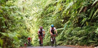 Pembalap International Tour de Banyuwangi Ijen menaklukan tanjakan. (Foto/dok)