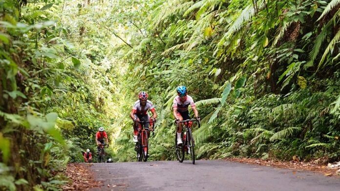 Pembalap International Tour de Banyuwangi Ijen menaklukan tanjakan. (Foto/dok)