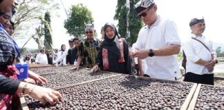 Pengolahan kopi rakyat di Kalibaru, Banyuwangi. (Foto/Humas Pemkab Banyuwangi)