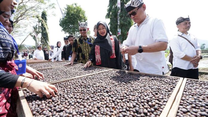 Pengolahan kopi rakyat di Kalibaru, Banyuwangi. (Foto/Humas Pemkab Banyuwangi)