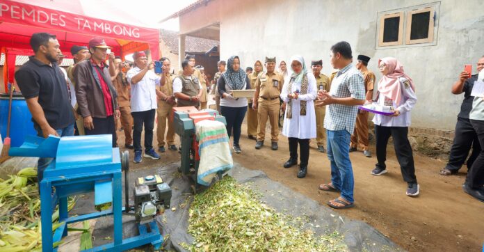 IMG-20240806-WA0135 Pemkab Banyuwangi memberikan pelatihan pembuatan pakan ternak fermentasi kepada peternak kambing, Selasa (7/8/2024). (Foto/Humas Pemkab Banyuwangi)