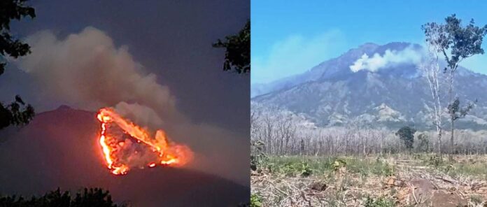 Lereng Merapi Ungup-ungup di perbatasan Banyuwangi-Bondowoso terbakar, Selasa (20/8/2024) dini hari. (Foto/ist)