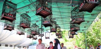 Bupati Banyuwangi Ipuk Fiestiandani menghadiri Festival Burung Berkicau di GOR Tawangalun, Minggu (15/9/2024). (Foto/Humas Pemkab Banyuwangi)