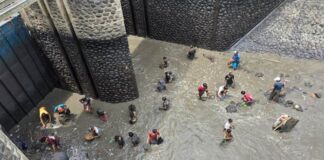 Warga berburu ikan selama pengeringan Dam Singir di Desa Blambangan, Kecamatan Muncar. (Foto/ist)