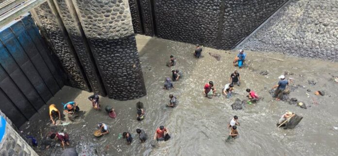 dam singir Warga berburu ikan selama pengeringan Dam Singir di Desa Blambangan, Kecamatan Muncar. (Foto/ist)