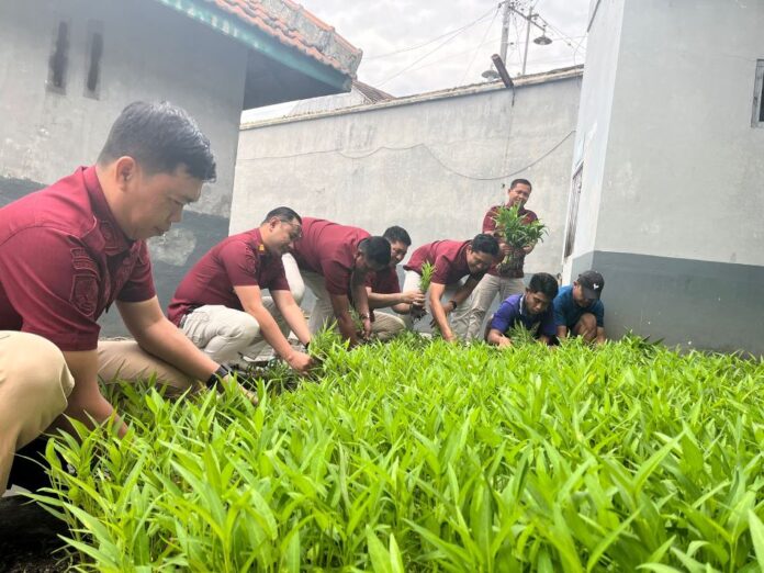WhatsApp Image 2025-01-30 at 10.01.15 Petugas Lapas Banyuwangi bersama warga binaan memanen sayuran hasil kegiatan pemberdayaan warga binaan, Kamis (30/1/2025). (Foto/Lapas Banyuwangi)