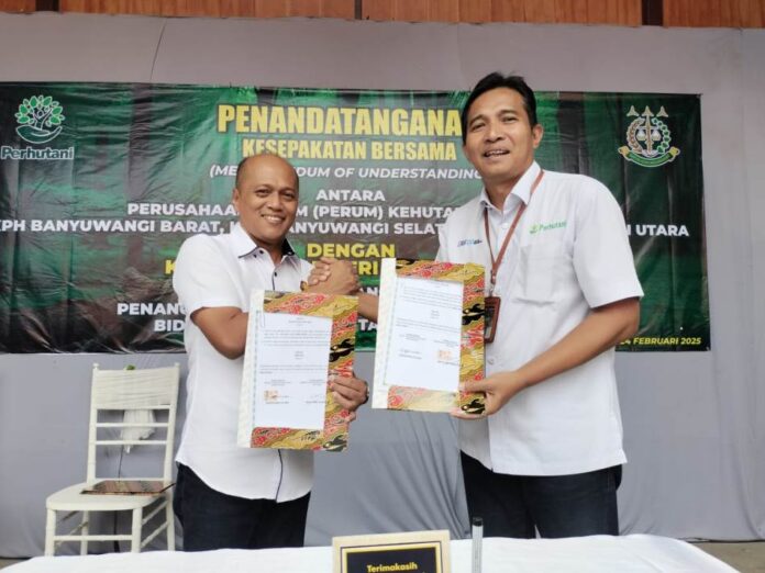 WhatsApp Image 2025-02-26 at 16.41.58 Penandatanganan MoU terkait SOP pengeloaan hutan antara KPH Banyuwangi Raya dengan Kejaksaan Negeri Banyuwangi, Senin (24/2/2025). (Foto/Komper KPH Banyuwangi Selatan)