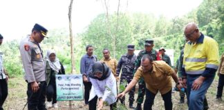 Bupati Banyuwangi Ipuk Fiestiandani didampingi General Manager of Operations sekaligus Kepala Teknik Tambang PT BSI Roelly Franzsa menanam pohon di kawasan lahan kritis di wilayah Perhutani Banyuwangi Barat dan Selatan, Sabtu (26/4/2025). (Foto/udi)