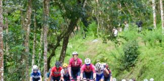 Ajang balap sepeda TdBI yang menjadi agenda rutin di Kabupaten Banyuwangi. (Foto/dok)