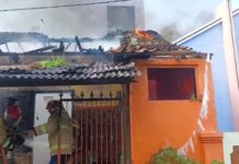Petugas Damkarmat Banyuwangi memadamkan api yang melalap rumah warga di Jalan Mojopahit, Kelurahan Tamanbaru, Jumat (19/9/2025). (Foto/Damkarmat Banyuwangi