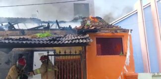 Petugas Damkarmat Banyuwangi memadamkan api yang melalap rumah warga di Jalan Mojopahit, Kelurahan Tamanbaru, Jumat (19/9/2025). (Foto/Damkarmat Banyuwangi