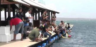 Barang bukti benih lobster hasil penyitaan Lanal Banyuwangi dari terduga pelaku penyelundupan di pesisir Bangsring, Kecamatan Wongsorejo, Banyuwangi, Selasa (9/9/2025). Foto/Pen Lanal Banyuwangi )