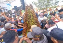 Meriah…., Festival Sate Kerang Randuboto Gresik