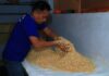 Warga binaan Lapas Banyuwangi diajari membuat tempe menggunakan cara modern, Kamis (16/10/2025). (Foto/Humas Lapas Banyuwangi)