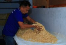 Warga binaan Lapas Banyuwangi diajari membuat tempe menggunakan cara modern, Kamis (16/10/2025). (Foto/Humas Lapas Banyuwangi)