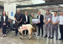 Sambut Idul Adha, Swiss-Belinn Manyar Surabaya Serahkan Hewan Kurban