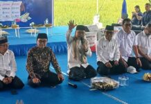Bertemu Petani Banyuwangi, Menko Pangan : Saya Disuruh Cek Pupuk dan Harga Gabah Menko Pangan, Zulkifli Hasan menyapa para petani di Kecamatan Blimbingsari, Banyuwangi, Kamis (14/5/2026) siang. (Foto/udi)
