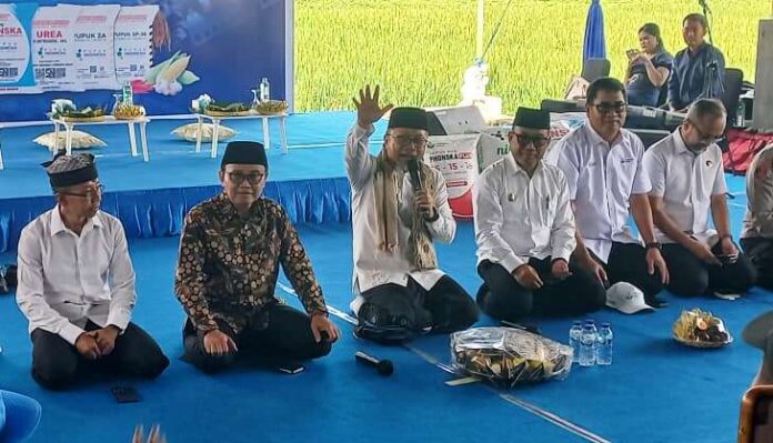 Menko Pangan, Zulkifli Hasan menyapa para petani di Kecamatan Blimbingsari, Banyuwangi, Kamis (14/5/2026) siang. (Foto/udi)