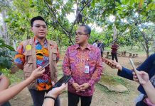 Kerja Keras dan Belajar Otodidak, Pemuda Bali ini Berhasil Bangun Pabrik Cokelat Modern